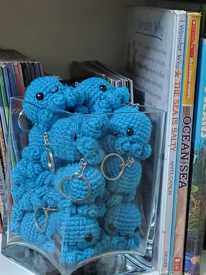 A jar full of our cute octopus mascots, ready to be claimed by our reading champions. These little rewards make achieving reading goals even more special.