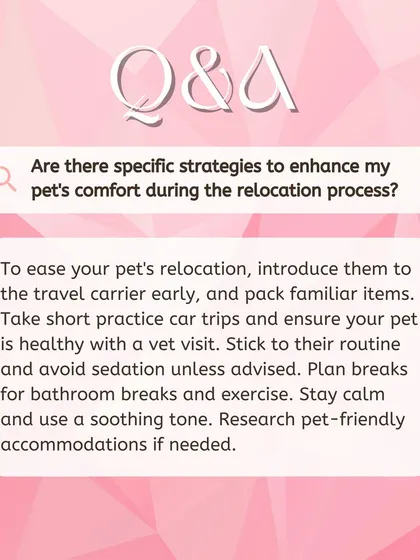 We offer several strategies to enhance your pet's comfort. This includes introducing the travel carrier early, taking practice trips, and planning for breaks during the journey.