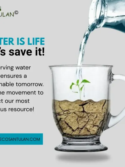 The image of a seedling growing from cracked earth inside a cup of water is a powerful metaphor. Conserving water today is an investment that ensures a sustainable and living tomorrow.