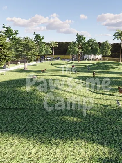 This rendering shows the scale of our off-leash park, complete with rolling green hills for dogs to run and play.