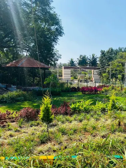 A view of a developing park landscape. We use a mix of fast-growing ground cover and slower-growing shrubs and trees to create a sustainable and evolving garden that will become more beautiful over time.