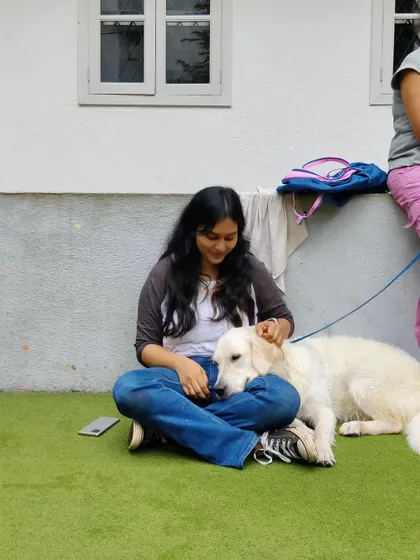 Sometimes, my job just involves sitting on the grass and getting cuddles from a sweet Golden Retriever. Building a calm, trusting relationship is the foundation of all my training work.