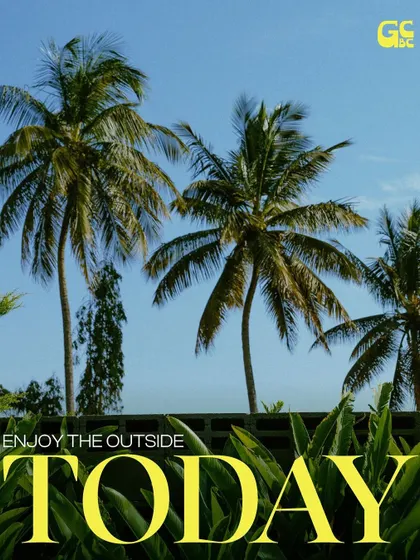 A simple reminder to get outside. With clear blue skies and towering palm trees, it's always a good day to enjoy nature here.
