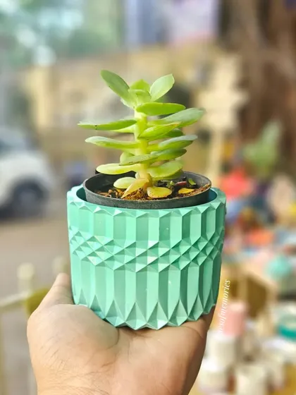 My eco-resin planters are perfect for bringing a touch of green to your space. This one is a diamond-patterned pot in a beautiful mint green, complete with a drainage hole for a happy plant.