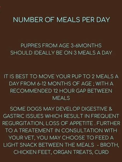 How many meals should your pup get? We recommend three meals a day for young puppies, moving to two meals a day as they get older to support healthy digestion.