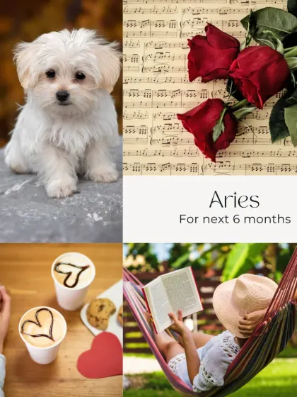 This is the energy for Aries for the next six months. It's a time of new love, self-care, relaxation, and perhaps even welcoming a new pet into your life.
