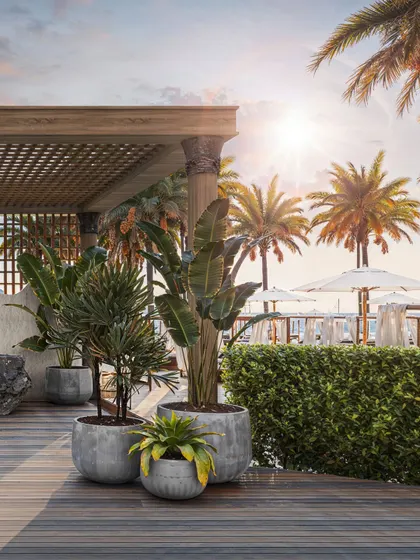 The reception area of the Fairmont Hotel's outdoor lounge at sunset. The warm glow of the sun highlights the natural textures of the wood pergola and stone desk.