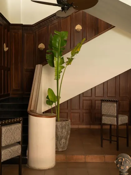 The staircase at Lord Elgin, where heavy wood paneling contrasts with the clean white walls and a large potted plant. This area showcases the dialogue between heavy and light, old and new, that defines the project.