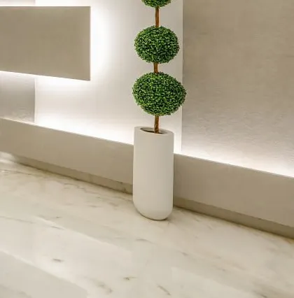 A minimalist detail of a topiary plant against a backlit wall panel, showcasing our attention to even the smallest decorative elements.