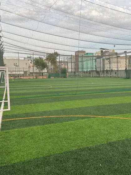 The enclosed turf provides a safe and focused environment for training sessions.