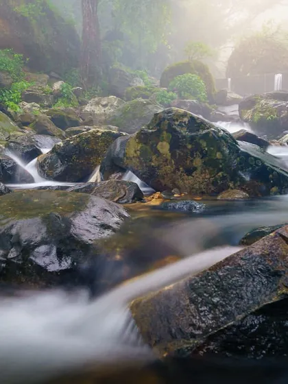 A long exposure of a stream in Meghalaya. The technique smooths the water's surface, creating a stark contrast with the sharp, mossy rocks.