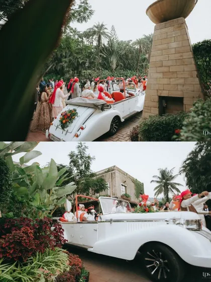 The groom's grand Baraat arrival in a vintage white convertible, surrounded by lush greenery.