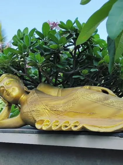 Plants can change perspectives. We placed this relaxing Buddha statue on a client's terrace, nestled under the soft blooms of a frangipani tree, to create a tranquil and meditative corner.