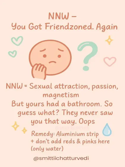 The North-North-West (NNW) zone governs sexual attraction and magnetism. A bathroom here can wash away the passion, leading to you being friend-zoned again and again.