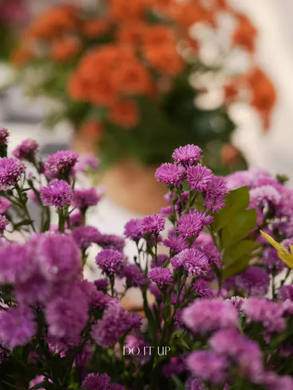 A cluster of purple asters, showcasing their vibrant color and delicate texture. I often use flowers like these to add pops of color and fine detail to my larger arrangements.