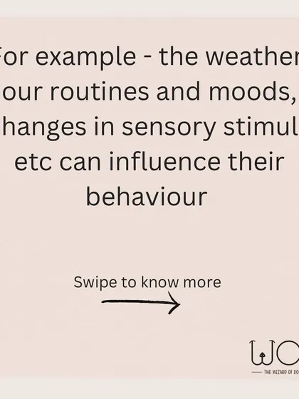Things like the weather, changes in our routine, our own moods, and different sensory stimuli can all influence a dog's behavior on any given day.