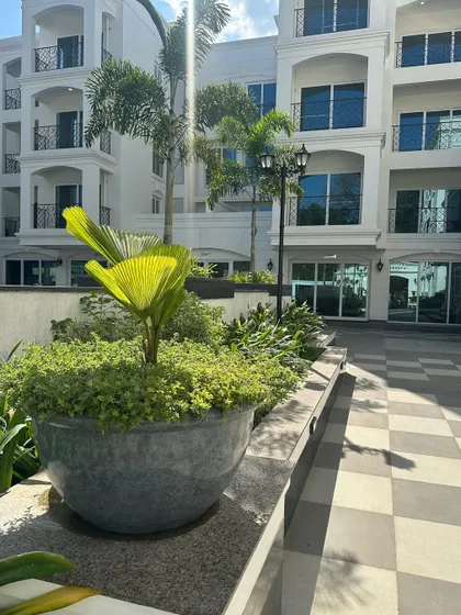A large planter filled with a fan palm and cascading ground cover, part of the landscape at an apartment complex. This shows how we use different plant forms to create texture and interest.
