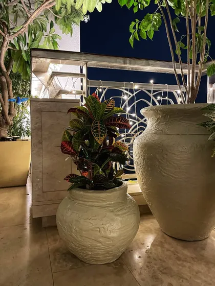 A closer look at the festive balcony setup. This Croton plant in a custom-textured fiber pot adds a splash of color and fits perfectly within the larger arrangement.