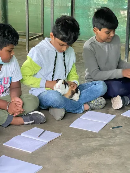 After interacting with the animals, students take time to draw and write in their journals. This crucial step helps them process their observations, solidify their learning, and practice scientific documentation.