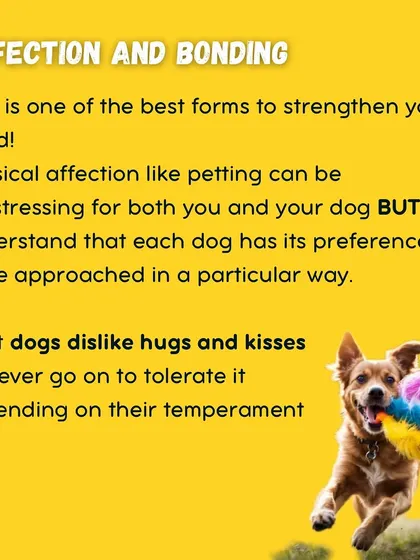 Affection and bonding are key, but it's important to show love in a way your dog understands and appreciates. Play is one of the best ways to strengthen your bond.
