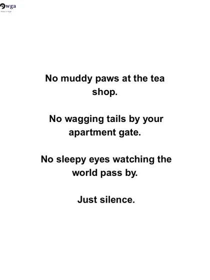 No muddy paws, no wagging tails, just silence. We paint a picture of what we would lose if street dogs disappeared from our neighborhoods.