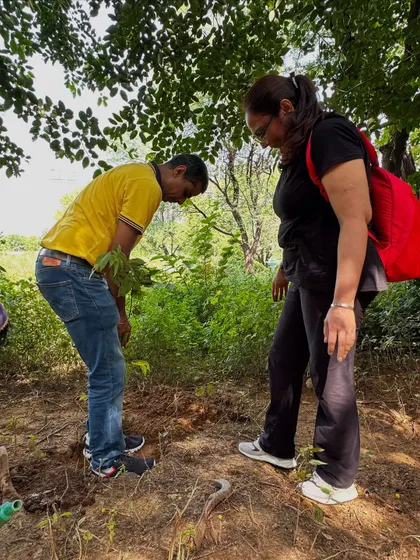 Our team member guides a volunteer on the correct planting technique, sharing knowledge that helps ensure the long-term success of our eco-restoration work.
