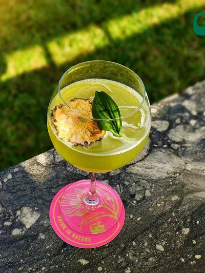 A refreshing green cocktail garnished with a dehydrated pineapple slice, enjoyed in the sun.
