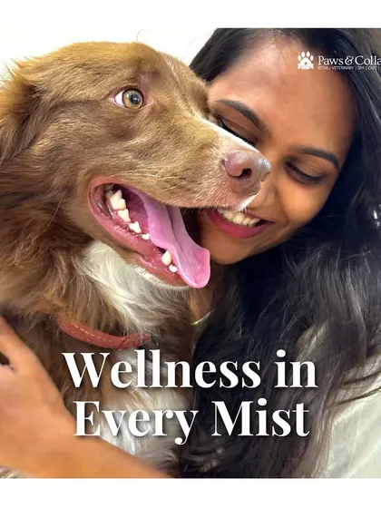 A woman joyfully hugs her happy dog, illustrating our promise of "Wellness in Every Mist." Our cologne is about more than just scent; it's about enhancing the bond you share.