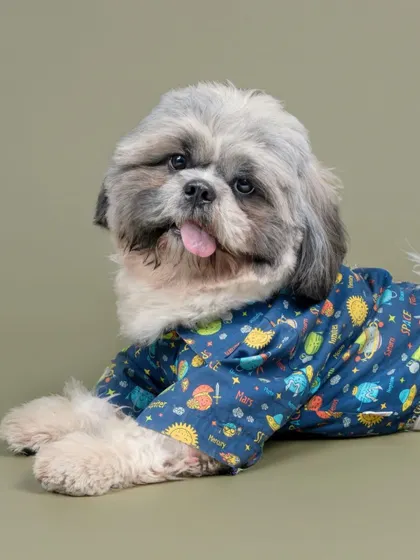 This Shih Tzu looks absolutely adorable and ready for a nap in his space-themed pajamas.