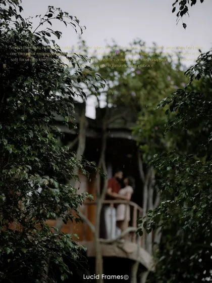 An artistic, blurry shot through the leaves, creating a sense of a private, stolen moment on the treehouse balcony.