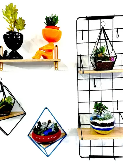 I also create unique gift items, such as these geometric terrariums and decorative planters. These make for perfect corporate or personal gifts for any plant lover.