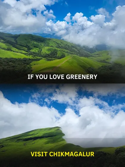 If you love greenery, Chikmagalur will steal your heart. The rolling hills and lush landscapes are a feast for the eyes.