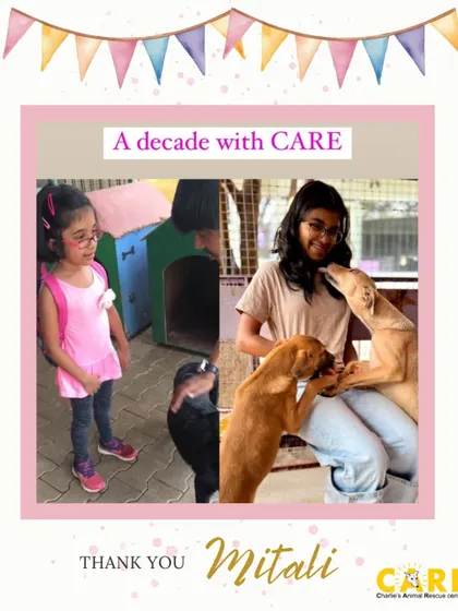 A decade with CARE! This is Mitali, who has been supporting us since she was a little girl. We are so proud to see her grow into a compassionate young woman who bakes cakes to raise funds for our animals on her birthday.