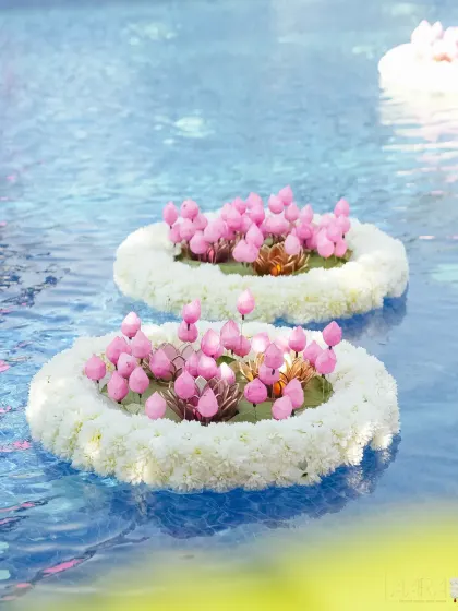Floating arrangements of pink lotus buds and white flowers drift peacefully in the pool. This simple yet beautiful detail added a touch of serenity and elegance to the vibrant poolside Mehendi.
