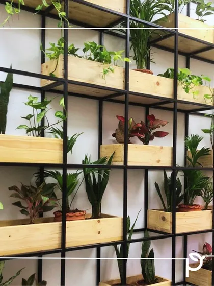 This custom-made wall rack of wood and metal is a perfect solution for creating a vertical garden indoors. It allows for a dense display of various plants like Snake Plants and Pothos, turning a plain wall into a living feature.