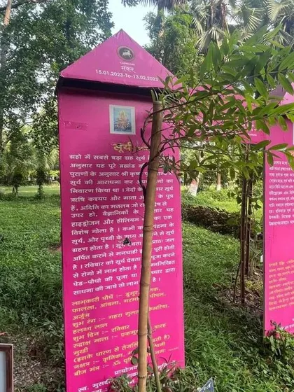 A plaque for 'Surya' (the Sun) at the Nakshatra Vatika. Each planet has corresponding plants, colors, and mantras, creating a specific energy field for meditation and alignment.