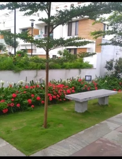 A serene seating area in a residential garden, with a simple stone bench placed on a neat lawn next to a bed of vibrant red flowers. This design creates a peaceful spot for relaxation.
