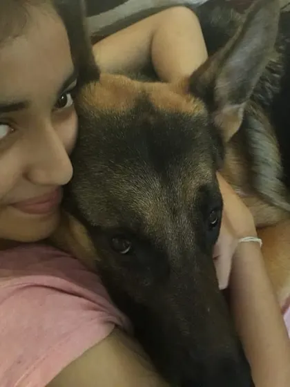 Sometimes he just wants to be a lap dog while we watch TV. These quiet moments of connection are what it's all about.