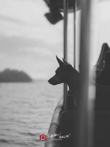 A moody, black and white shot of Elfie on the boat. This artistic choice emphasizes her silhouette and the contemplative mood of the moment.