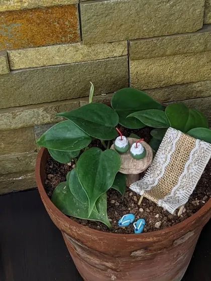 Another angle of the beach diorama, showing how it transforms a simple plant into a story.