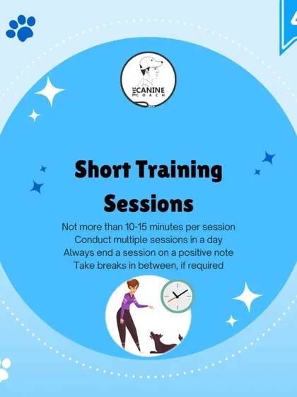 This graphic summarizes a key principle: keep training sessions short and positive. We recommend sessions of no more than 10 to 15 minutes. This prevents frustration for both you and your dog and makes learning much more effective.