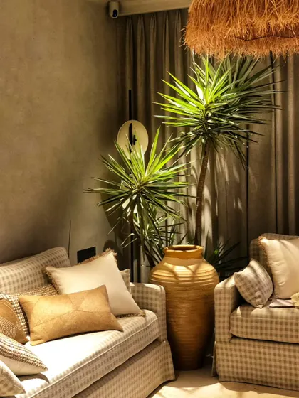 The architectural form of a Silver Yucca plant adds a touch of sculptural elegance to any space. Its striking silver-hued leaves create a dramatic silhouette, making it a natural masterpiece for this cozy corner.
