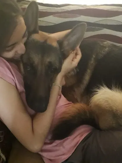 Sometimes he just wants to be a lap dog while we watch TV. These quiet moments of connection are what it's all about.