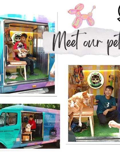 Another collection of our amazing clients. We're so happy to provide a convenient, professional grooming service that keeps pets and their parents smiling.