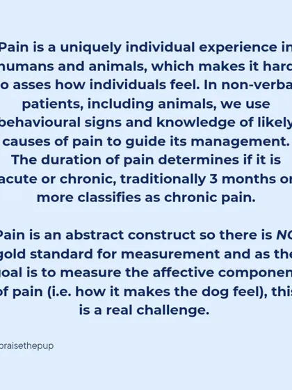 Pain is an individual experience, and there is no single gold standard for measuring it. This post explains the difference between acute and chronic pain.