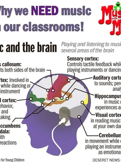 Music education is a powerful tool for cognitive development. This chart shows how learning an instrument engages multiple areas of the brain, helping to improve motor skills, memory, focus, and emotional expression, which are key benefits of our music classes for special needs children.