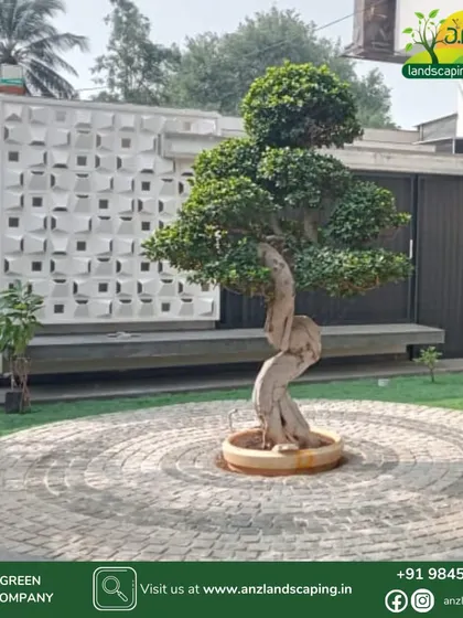 A focal point in a luxury garden, this sculpted bonsai tree is set in a circular cobblestone patio, demonstrating our attention to artistic detail.