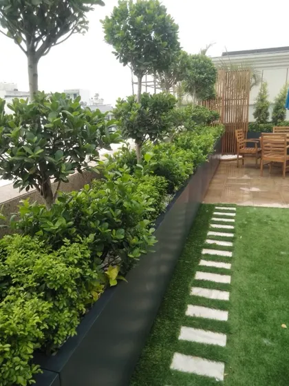 A terrace garden in winter can be just as beautiful as in summer if the plants are selected carefully. This garden features evergreen shrubs and topiaries that provide year round structure and greenery.