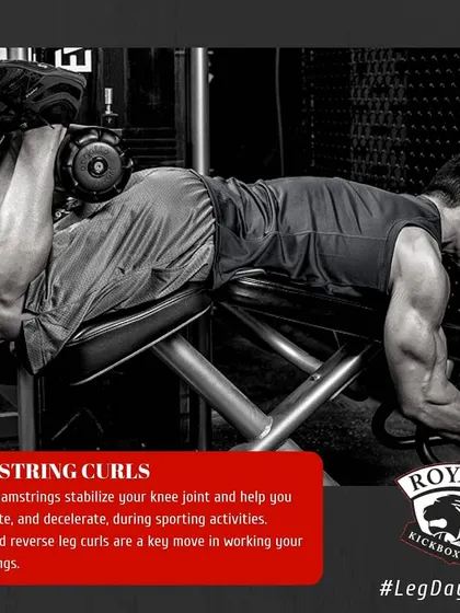 Strong hamstrings are vital for knee stability, acceleration, and deceleration. The hamstring curl is a key isolation exercise we use to strengthen this crucial muscle group.