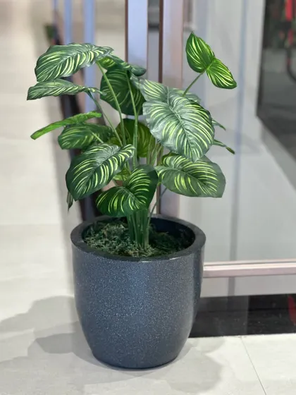 This artificial plant with beautifully patterned leaves is a great way to add visual interest to a simple corner in an office or store.
